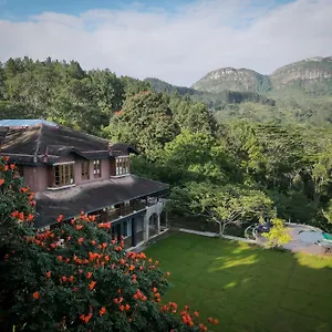 Dendrobium House Hotel